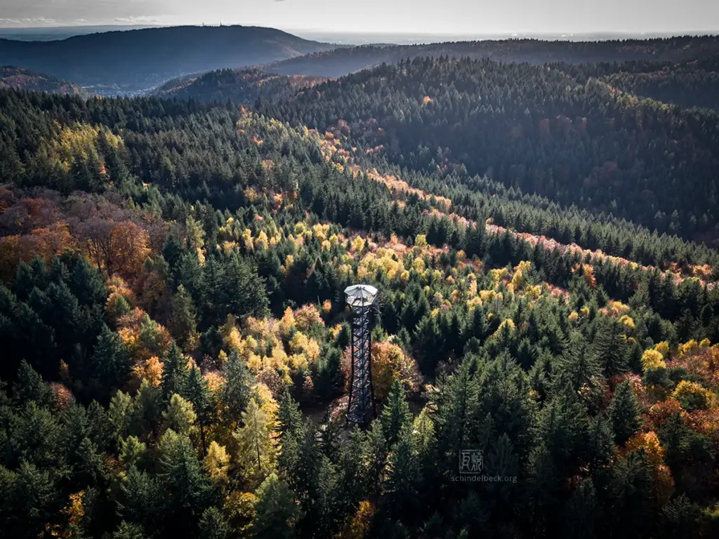 Teltschikturm - Photo: Frank Schindelbeck
