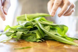 Bärlauch - Schindelbeck Photographie