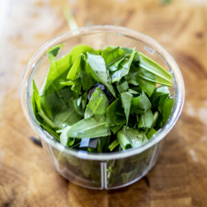 Bärlauch - Schindelbeck Photographie