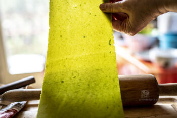 Bärlauch Ravioli - Photo: Schindelbeck