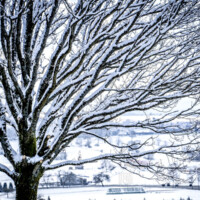 Katzenbuckel, Odenwald, Winter, Schnee - Photo: Schindelbeck