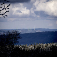 Katzenbuckel, Odenwald, Winter, Schnee - Photo: Schindelbeck